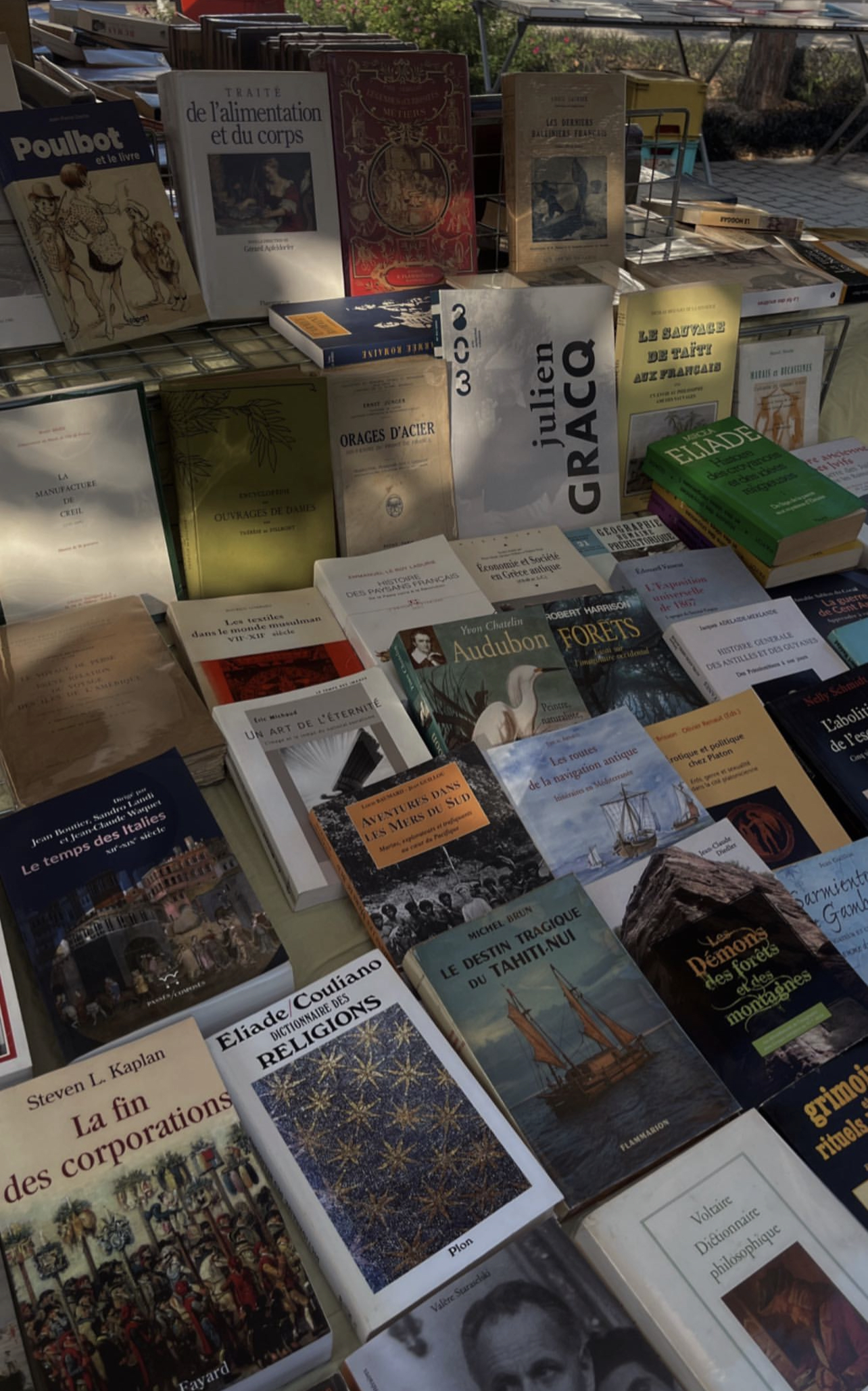 French Book Assortment